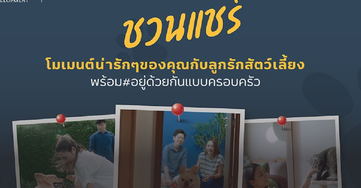 เมเจอร์ ดีเวลลอปเม้นท์ เอาใจ Pet Lover ชวนแชร์โมเมนต์รัก “น้อง”  กับแคมเปญ “MAJOR Pet Family Residences สัตว์เลี้ยงคือครอบครัว”