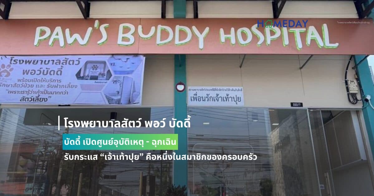 โรงพยาบาลสัตว์ พอว์ บัดดี้ เปิดศูนย์อุบัติเหตุ – ฉุกเฉิน  รับกระแส “เจ้าเท้าปุย”  คือหนึ่งในสมาชิกของครอบครัว