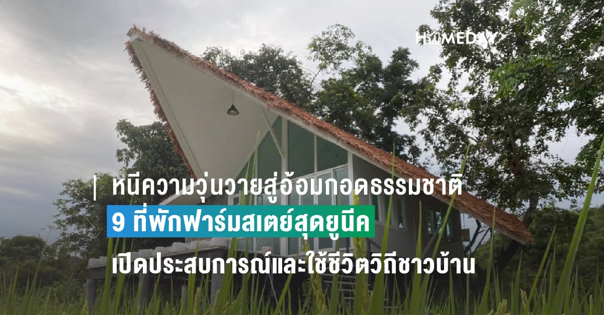 หนีความวุ่นวายสู่อ้อมกอดธรรมชาติกับ 9 ที่พักฟาร์มสเตย์สุดยูนีคบน Airbnb