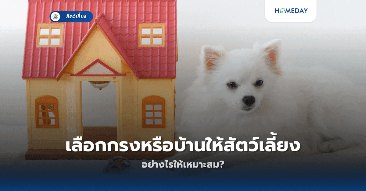 เลือกกรงหรือบ้านให้สัตว์เลี้ยงอย่างไรให้เหมาะสม?