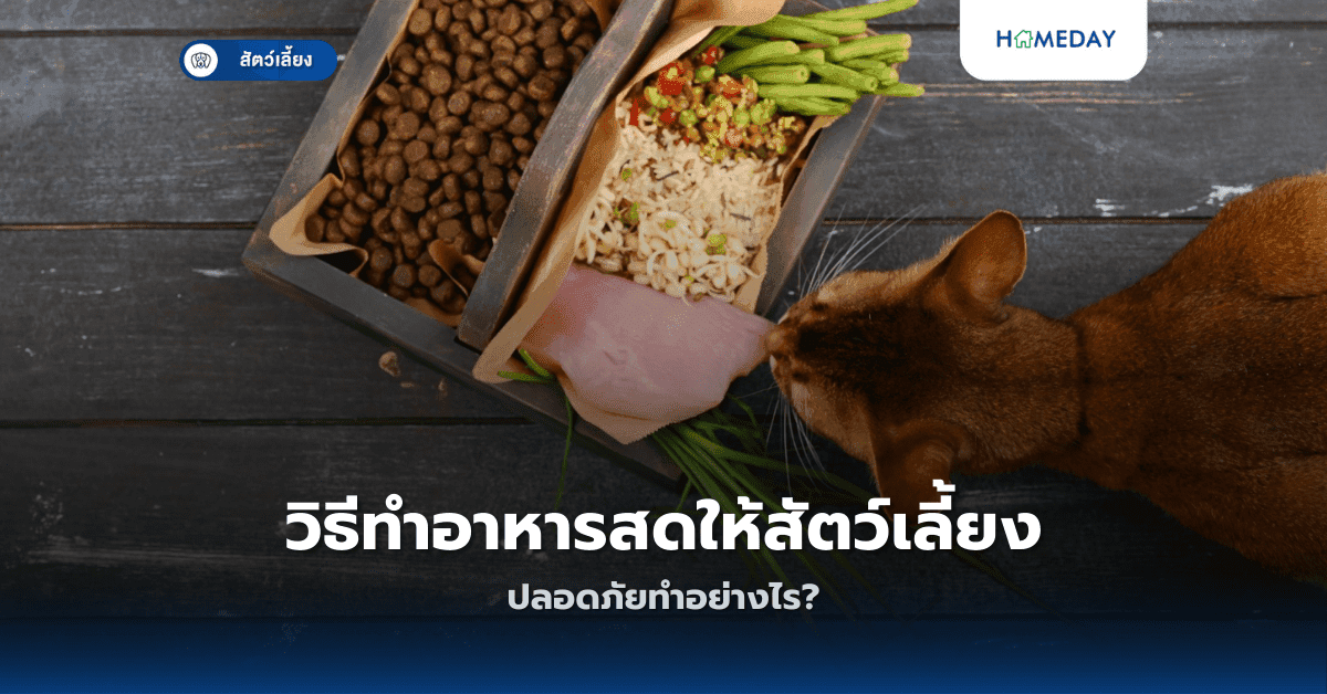 วิธีทำอาหารสดให้สัตว์เลี้ยงปลอดภัยทำอย่างไร?