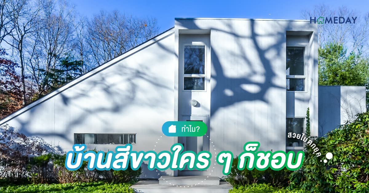 ทำไม? บ้านสีขาวใคร ๆ ก็ชอบ สวยไม่ตกยุค