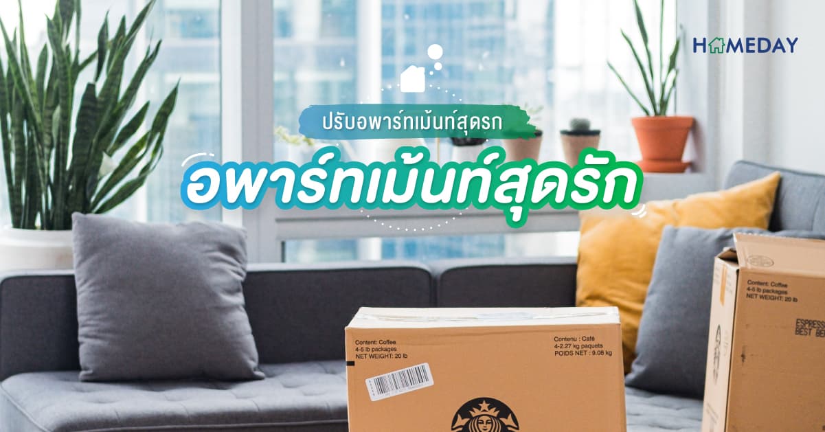 [????] ปรับอพาร์ทเม้นท์สุดรก ให้เป็นอพาร์ทเม้นท์สุดรัก