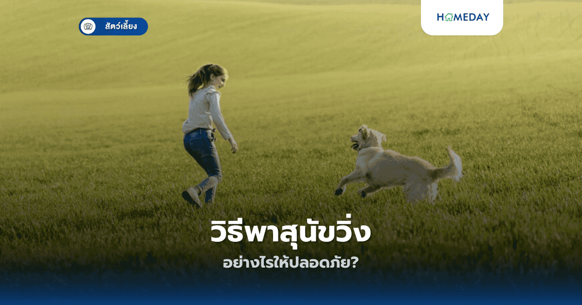 วิธีพาสุนัขวิ่งอย่างไรให้ปลอดภัย?