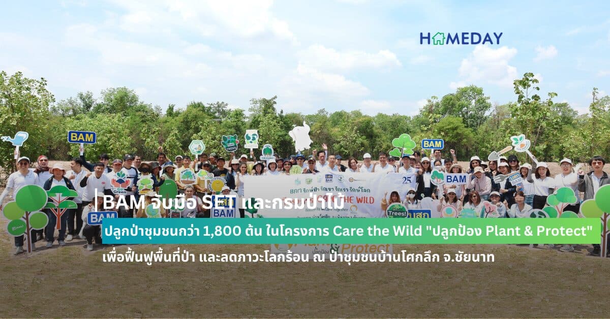 BAM จับมือ SET และกรมป่าไม้ ปลูกป่าชุมชนกว่า 1,800 ต้น ในโครงการ Care the Wild “ปลูกป้อง Plant & Protect” เพื่อฟื้นฟูพื้นที่ป่า และลดภาวะโลกร้อน ณ ป่าชุมชนบ้านโศกลึก จ.ชัยนาท
