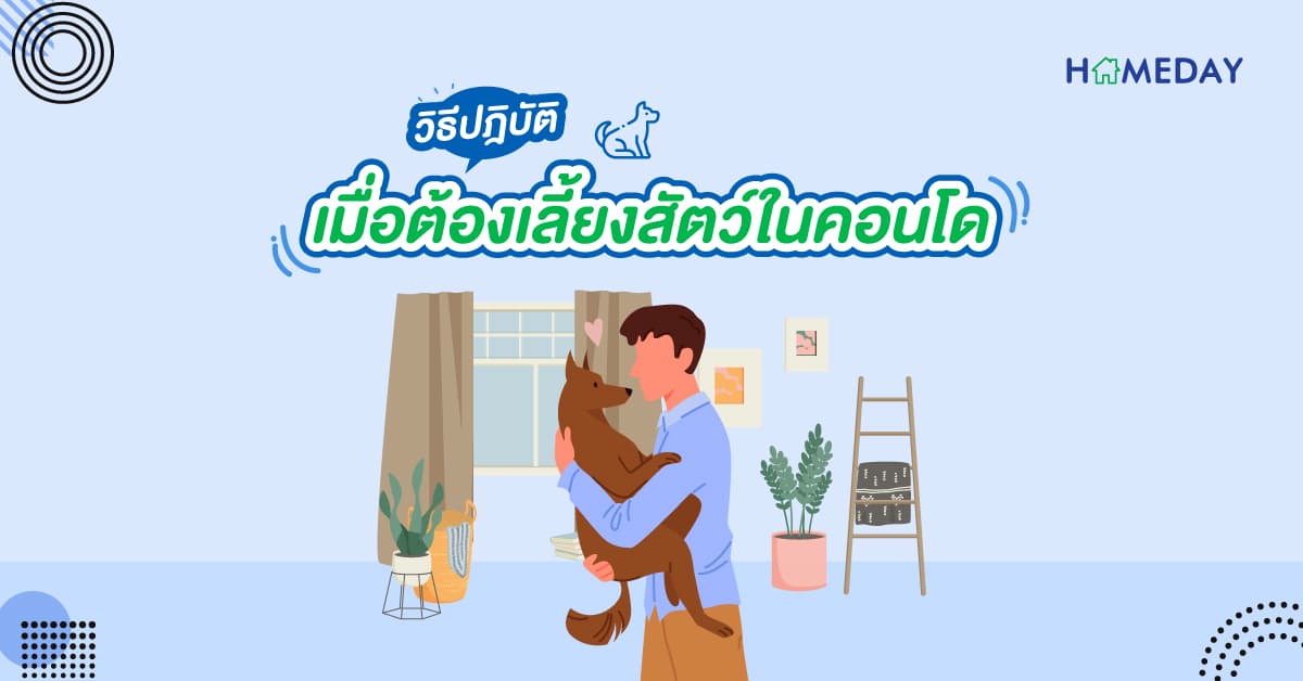 วิธีปฏิบัติ เมื่อต้องการเลี้ยงสัตว์ในคอนโด