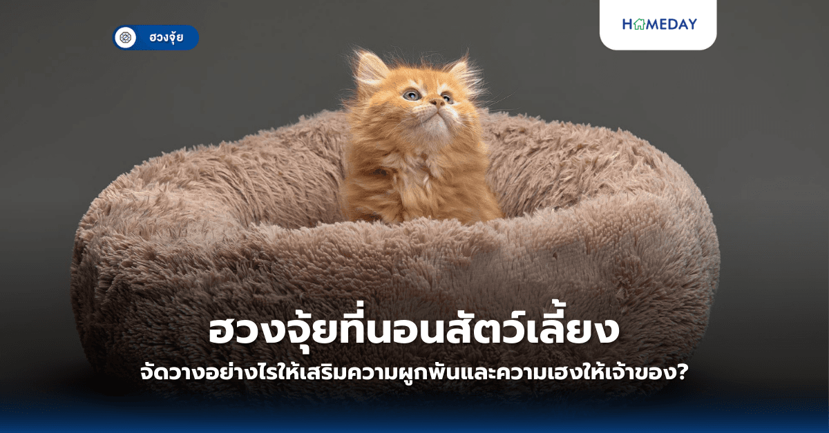ฮวงจุ้ยที่นอนสัตว์เลี้ยง จัดวางอย่างไรให้เสริมความผูกพันและความเฮงให้เจ้าของ?