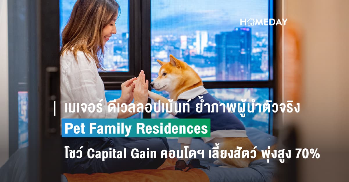 เมเจอร์ ดีเวลลอปเม้นท์ ย้ำภาพผู้นำตัวจริง Pet Family Residences  โชว์ Capital Gain คอนโดฯ เลี้ยงสัตว์ พุ่งสูง 70%