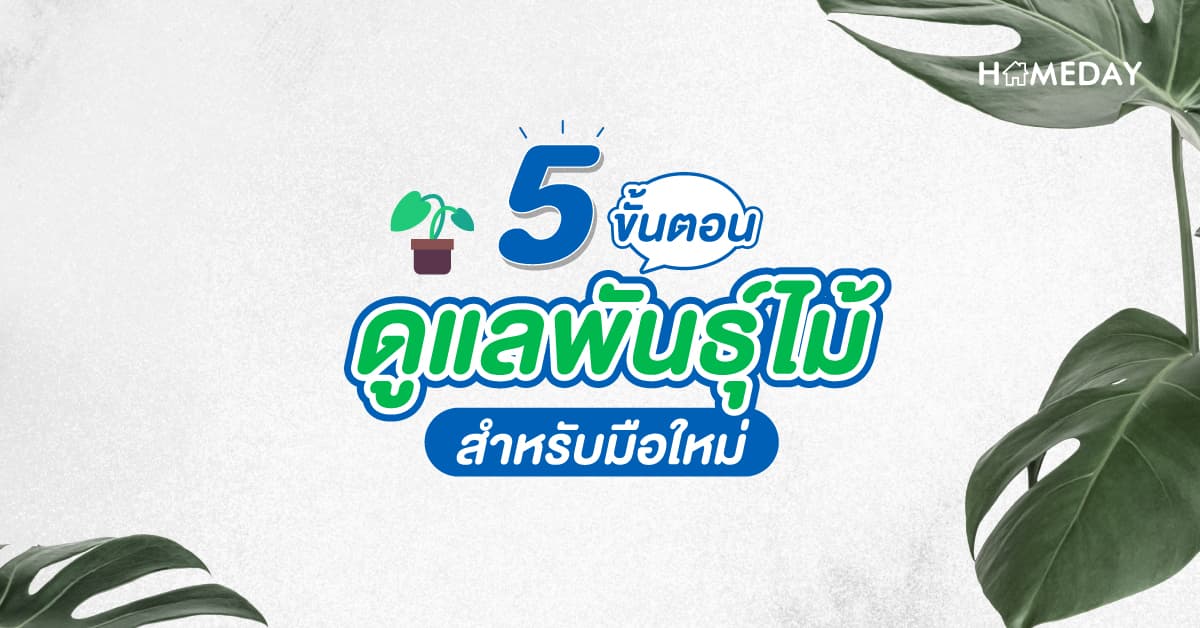 5 ขั้นตอนดูแลพันธุ์ไม้ สำหรับมือใหม่