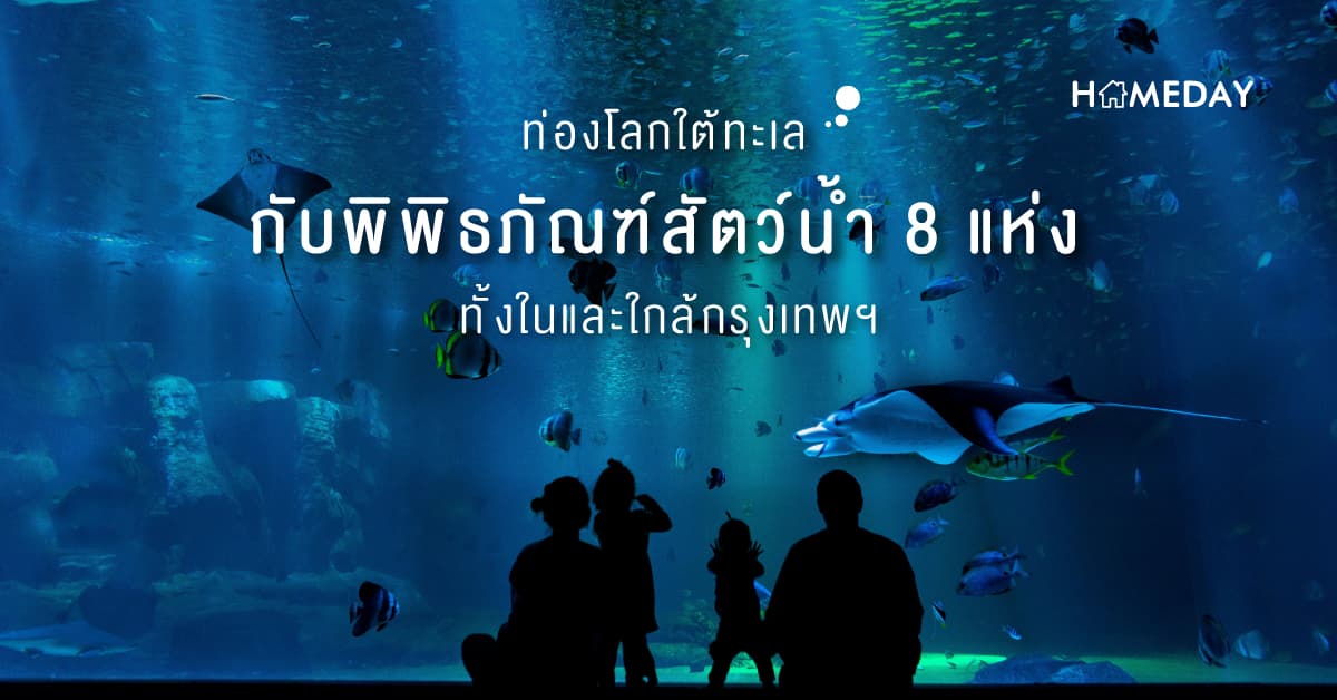 ท่องโลกใต้ทะเลกับพิพิธภัณฑ์สัตว์น้ำ 8 แห่งทั้งในและใกล้กรุงเทพฯ