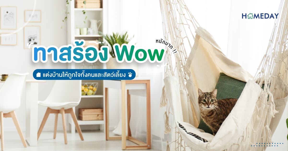 [????] ทาสร้อง Wow‼️ หนักมาก