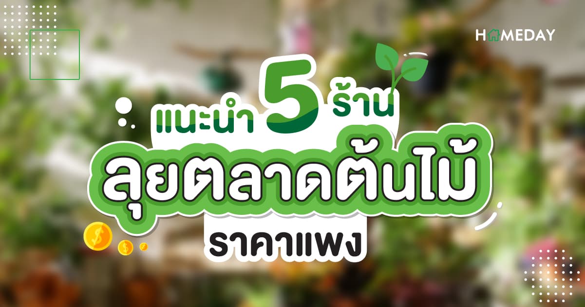 แนะนำ 5 ร้าน ต้นไม้ราคาแพง