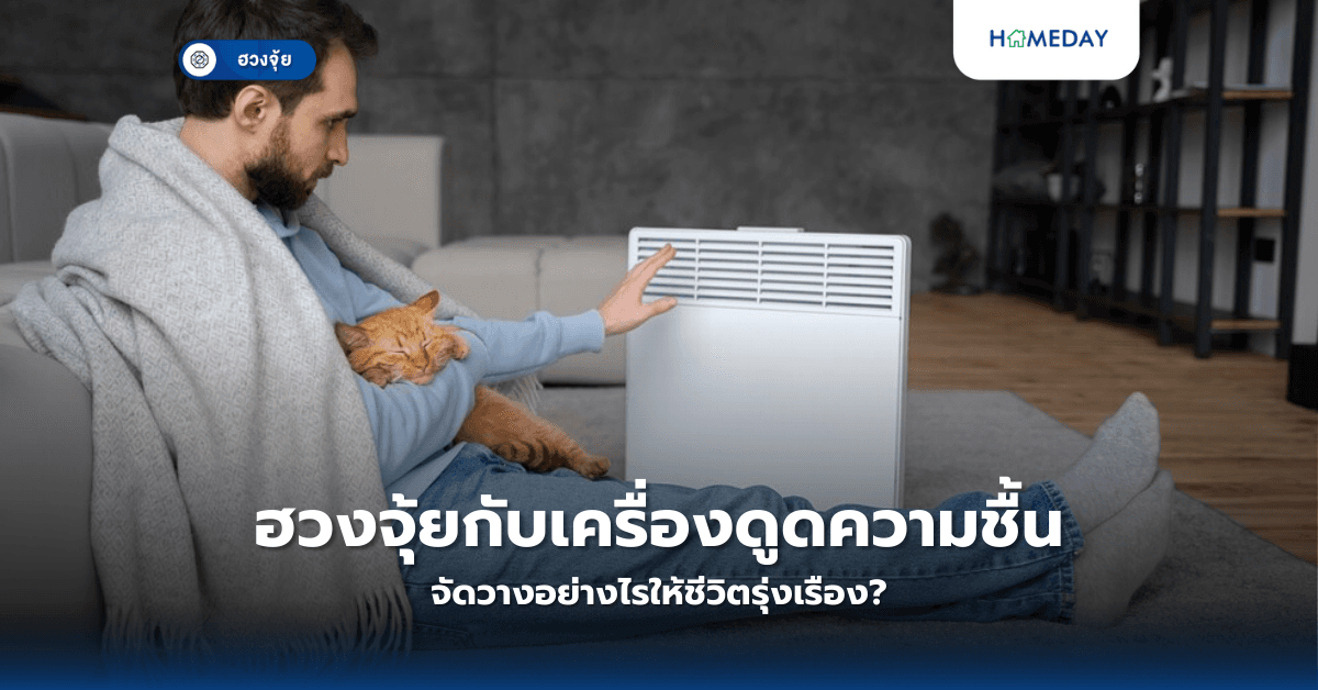 ฮวงจุ้ยกับเครื่องดูดความชื้น: จัดวางอย่างไรให้ชีวิตรุ่งเรือง?