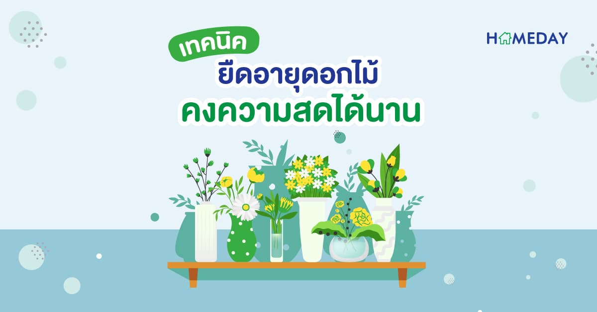 เทคนิคยืดอายุดอกไม้ คงความสดได้นาน