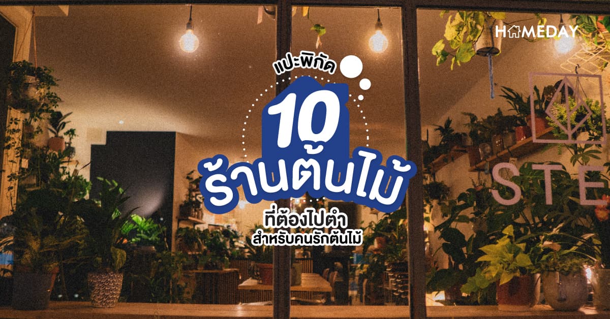 แปะพิกัด 10 ร้านต้นไม้ ที่ต้องไปตำ สำหรับคนรักต้นไม้