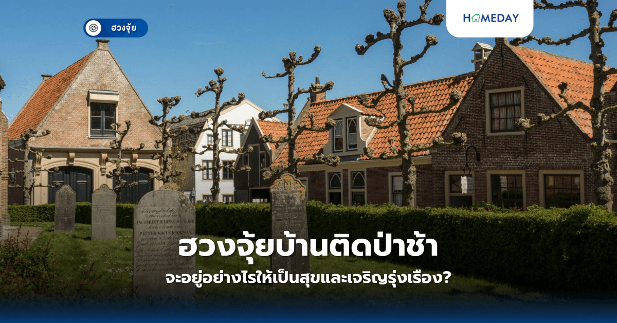 ฮวงจุ้ยบ้านติดป่าช้า: จะอยู่อย่างไรให้เป็นสุขและเจริญรุ่งเรือง?