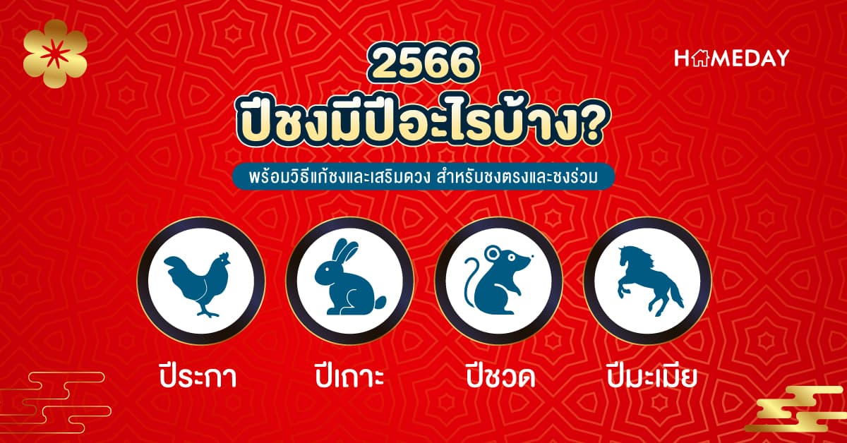2566 ปีชงมีปีอะไรบ้าง? พร้อมวิธีแก้ชงและเสริมดวง สำหรับชงตรงและชงร่วม