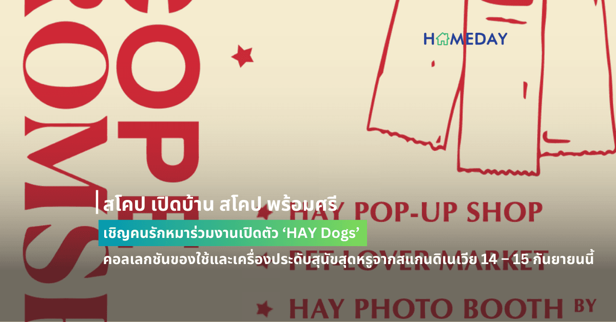 สโคป เปิดบ้าน สโคป พร้อมศรี เชิญคนรักหมาร่วมงานเปิดตัว ‘HAY Dogs’  คอลเลกชันของใช้และเครื่องประดับสุนัขสุดหรูจากสแกนดิเนเวีย 14 – 15 กันยายนนี้