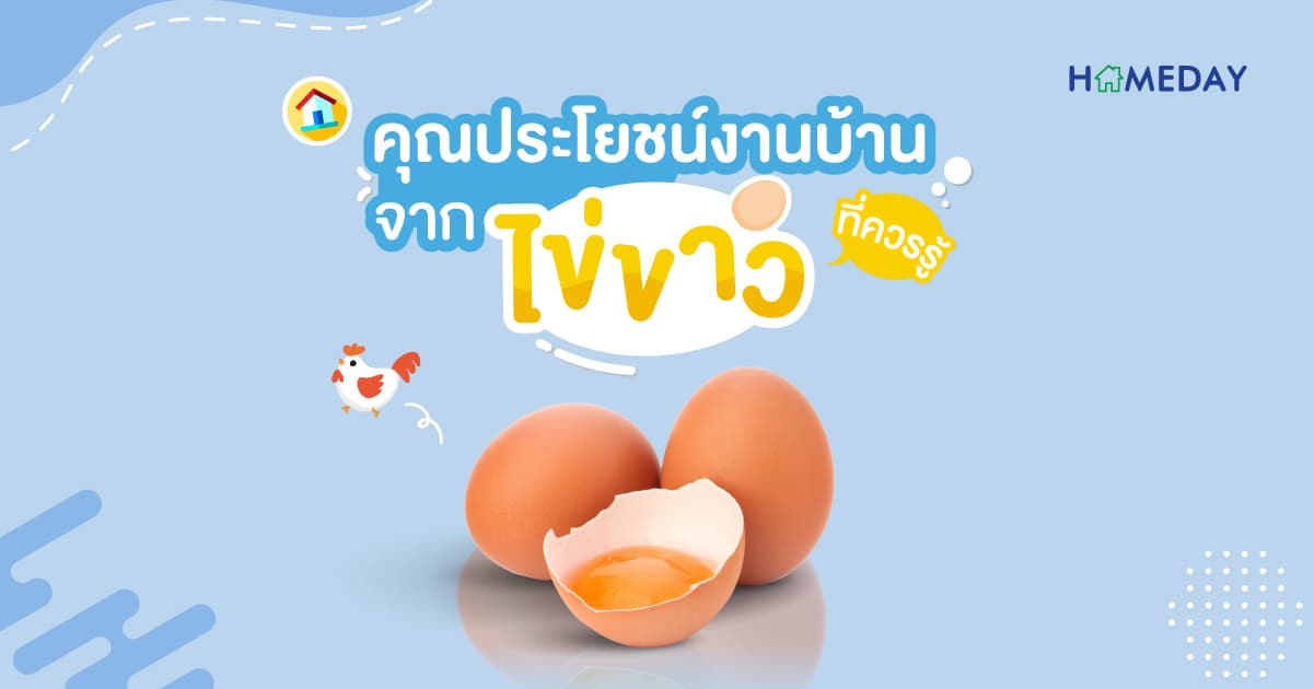คุณประโยชน์งานบ้าน จากไข่ขาว ที่ควรรู้