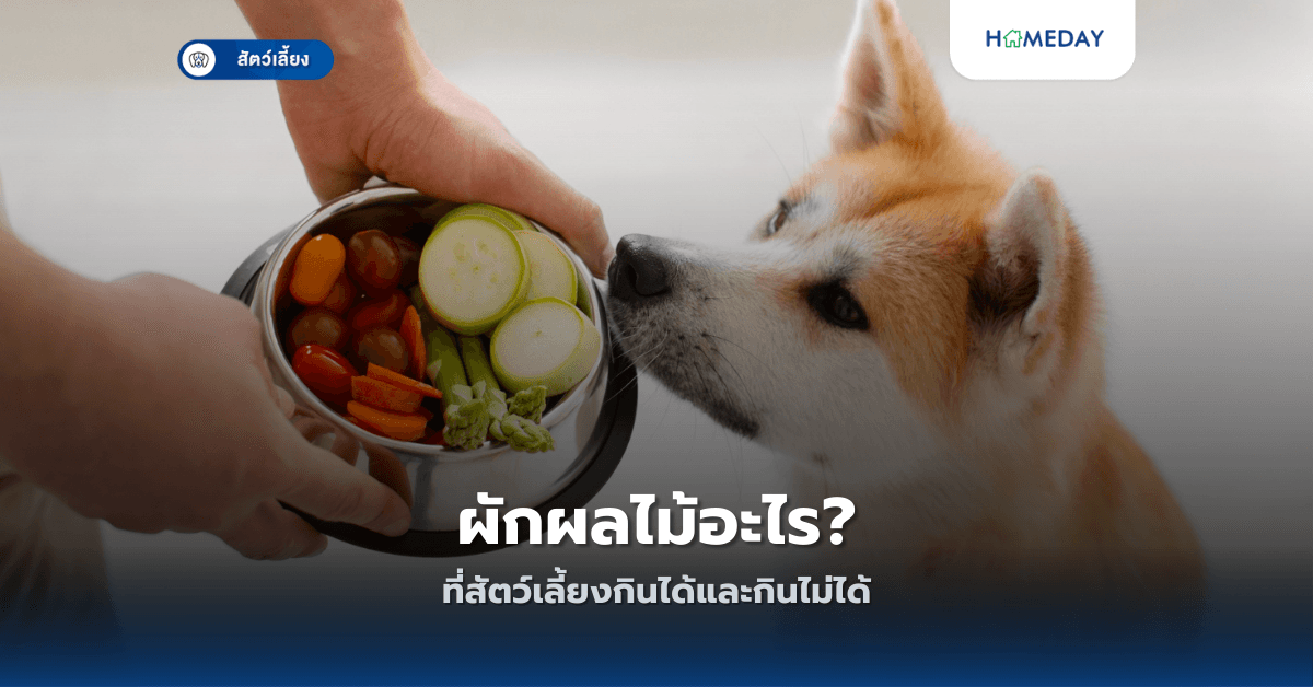 ผักผลไม้อะไรที่สัตว์เลี้ยงกินได้และกินไม่ได้?