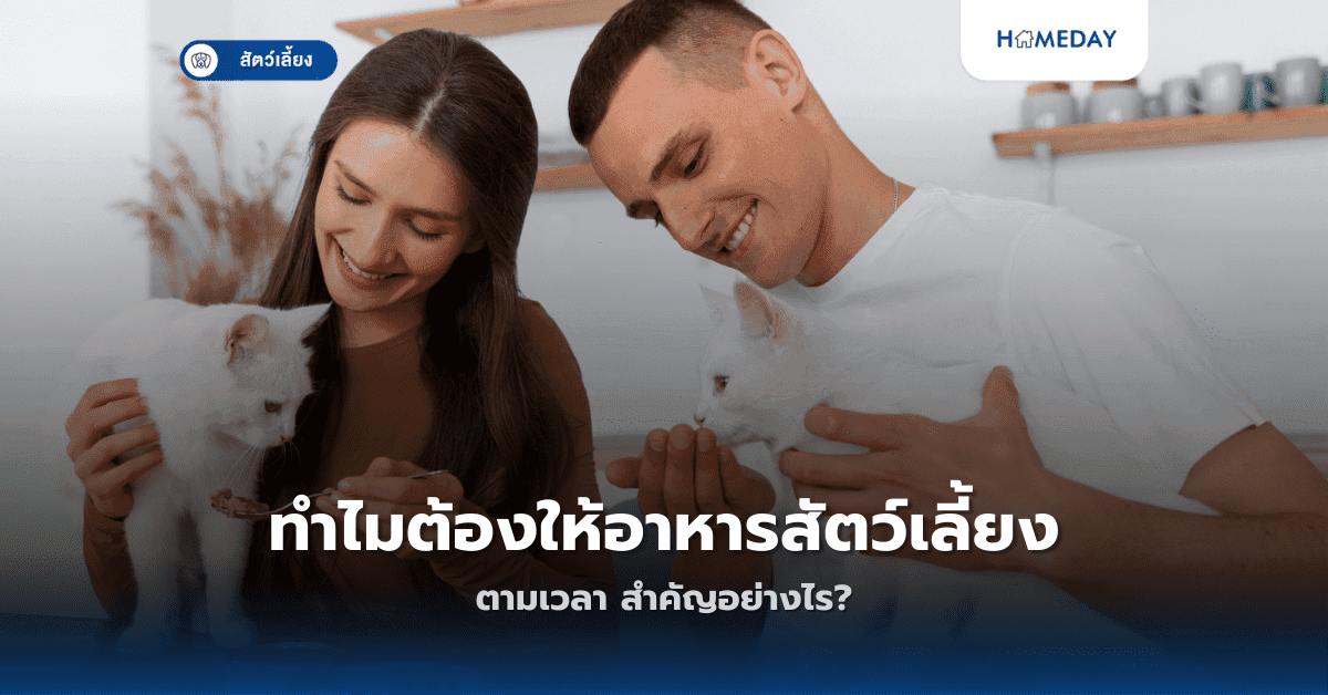 ทำไมต้องให้อาหารสัตว์เลี้ยงตามเวลา สำคัญอย่างไร?