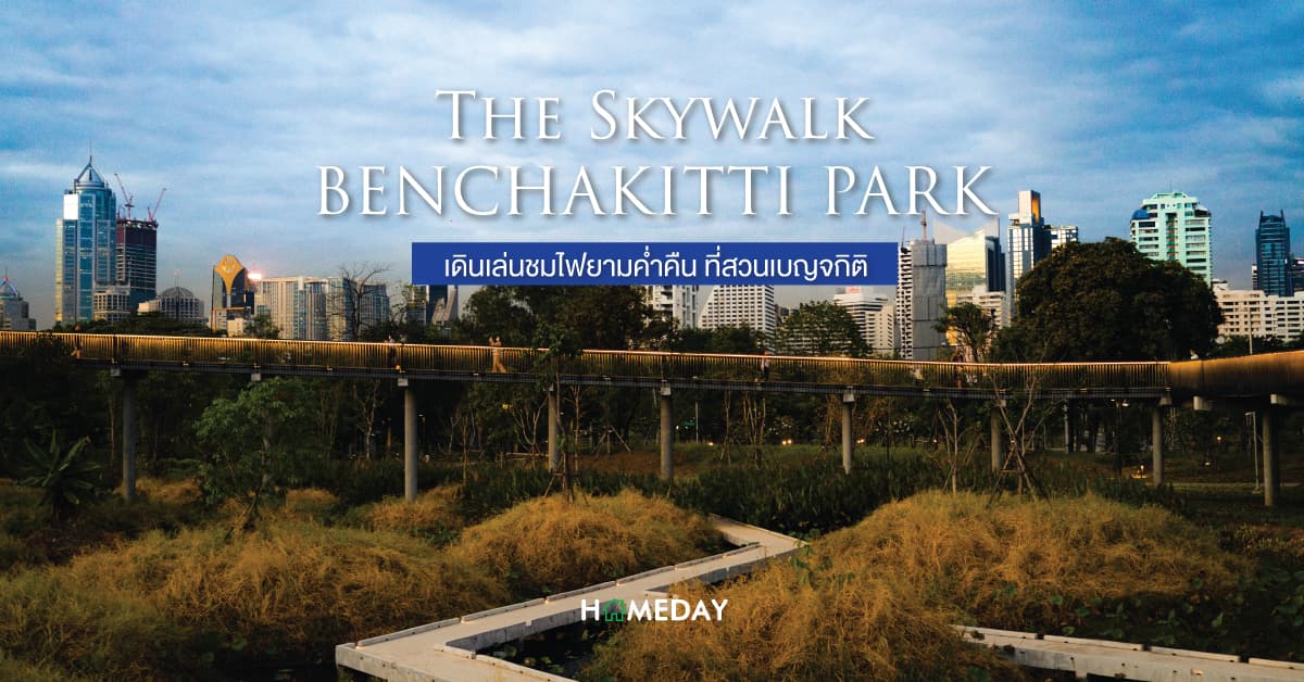 The Skywalk at Benchakitti Park เดินเล่นชมไฟยามค่ำคืน ที่สวนเบญจกิติ 