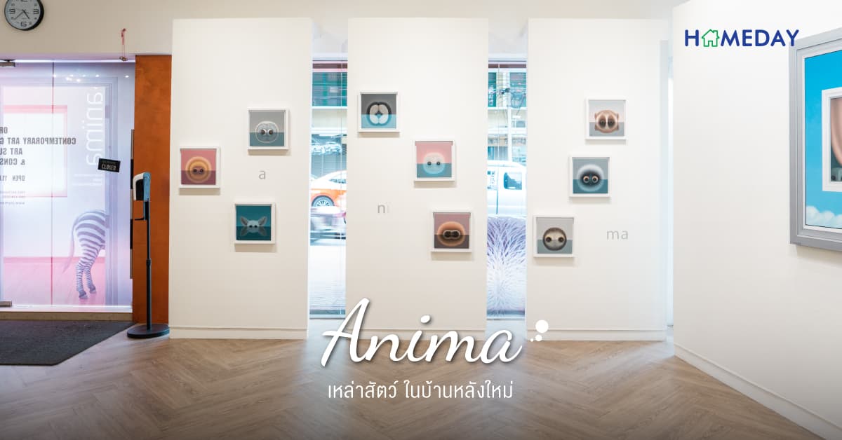 anima เหล่าสัตว์ ในบ้านหลังใหม่