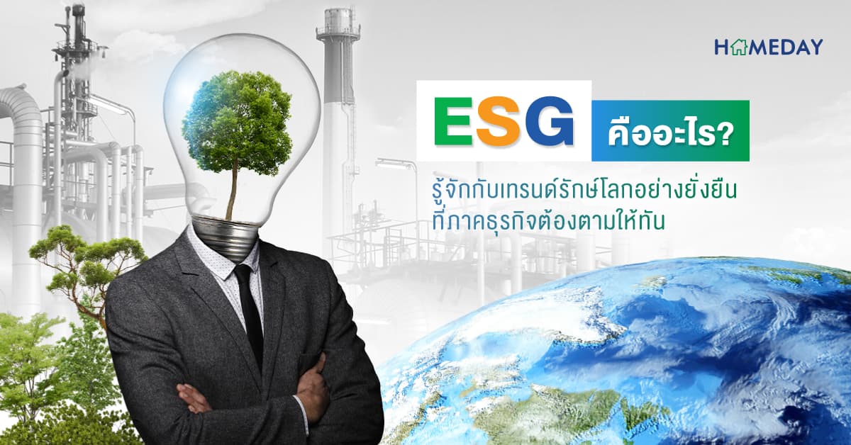 ESG คืออะไร? รู้จักกับเทรนด์รักษ์โลกอย่างยั่งยืน ที่ภาคธุรกิจต้องตามให้ทัน