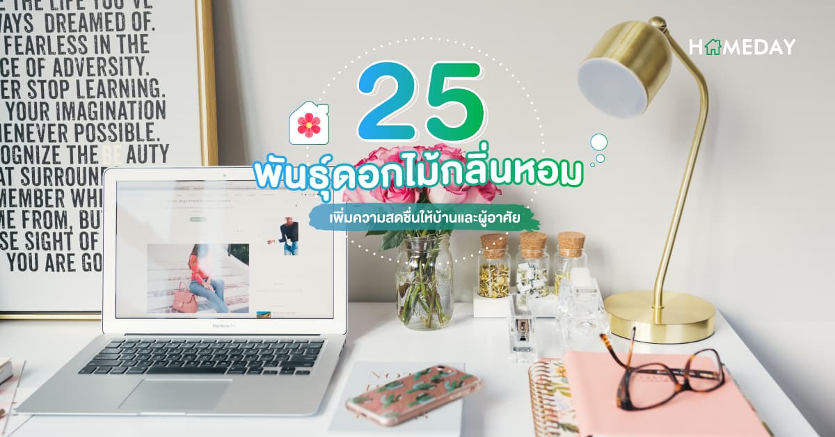 25 พันธุ์ดอกไม้กลิ่นหอม เพิ่มความสดชื่นให้บ้านและผู้อาศัย