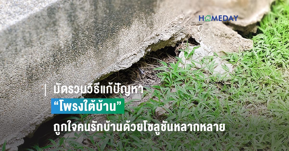 มัดรวมวิธีแก้ปัญหา “โพรงใต้บ้าน” ที่ถูกใจคนรักบ้านด้วยโซลูชันหลากหลายที่ลงตัว