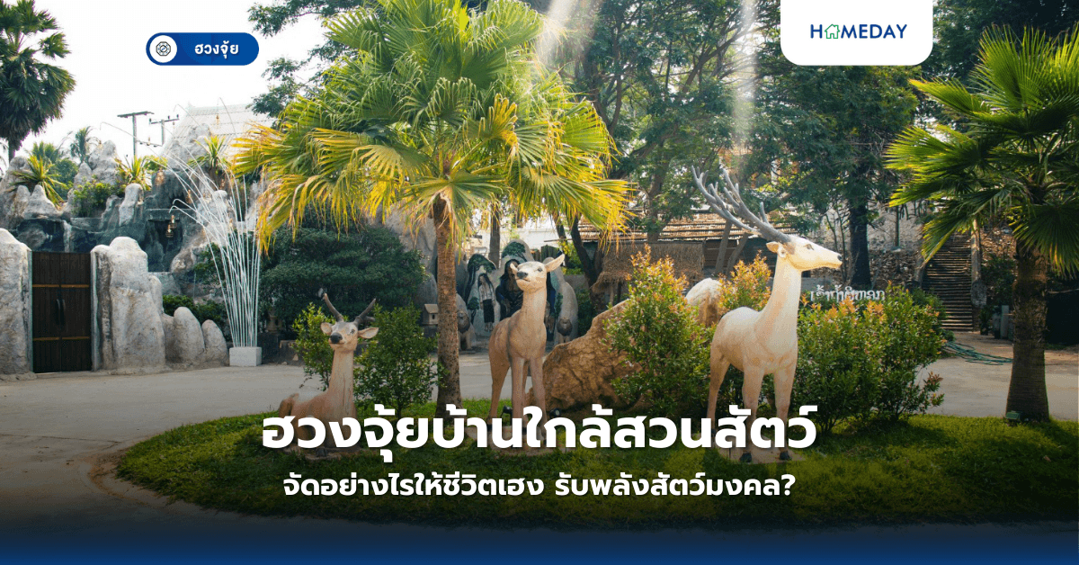 ฮวงจุ้ยบ้านใกล้สวนสัตว์ จัดอย่างไรให้ชีวิตเฮง รับพลังสัตว์มงคล?
