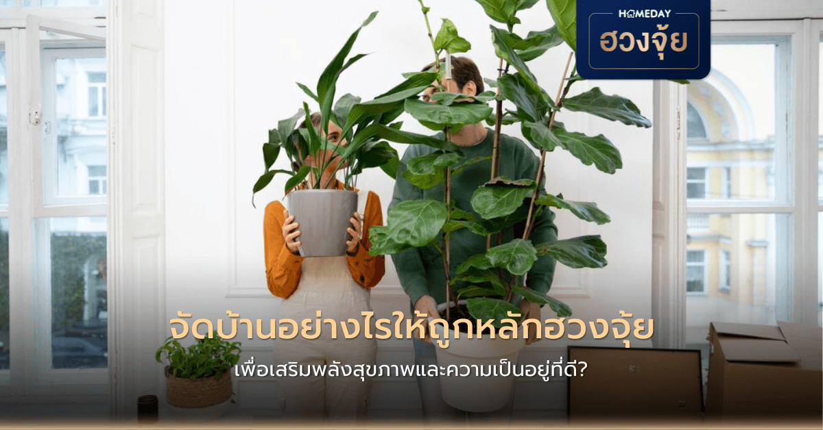 จัดบ้านอย่างไรให้ถูกหลักฮวงจุ้ย เพื่อเสริมพลังสุขภาพและความเป็นอยู่ที่ดี?