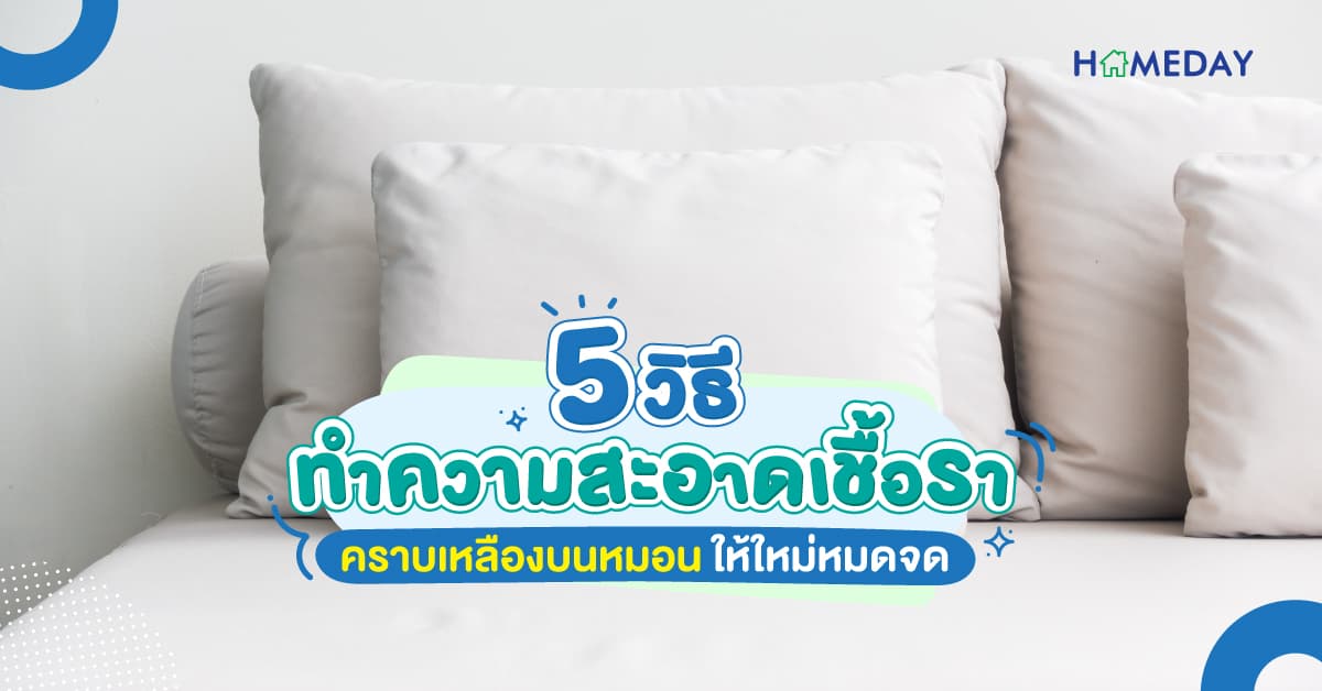 5 วิธีทำความสะอาดเชื้อรา คราบเหลืองบนหมอน ให้ใหม่หมดจด
