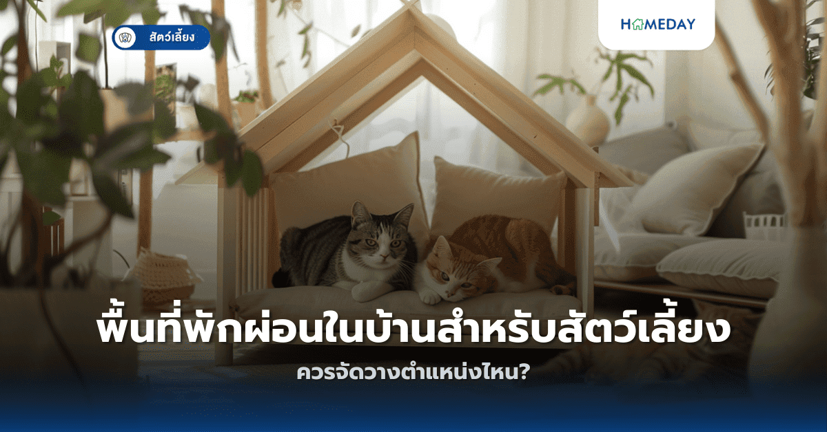 พื้นที่พักผ่อนในบ้านสำหรับสัตว์เลี้ยงควรจัดวางตำแหน่งไหน?
