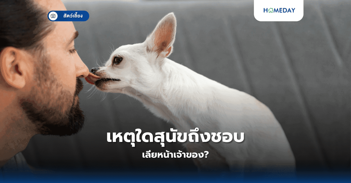 เหตุใดสุนัขถึงชอบเลียหน้าเจ้าของ?