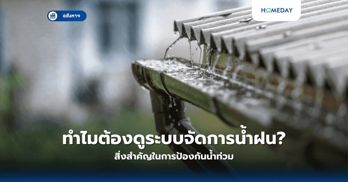 ทำไมต้องดูระบบจัดการน้ำฝน? สิ่งสำคัญในการป้องกันน้ำท่วม