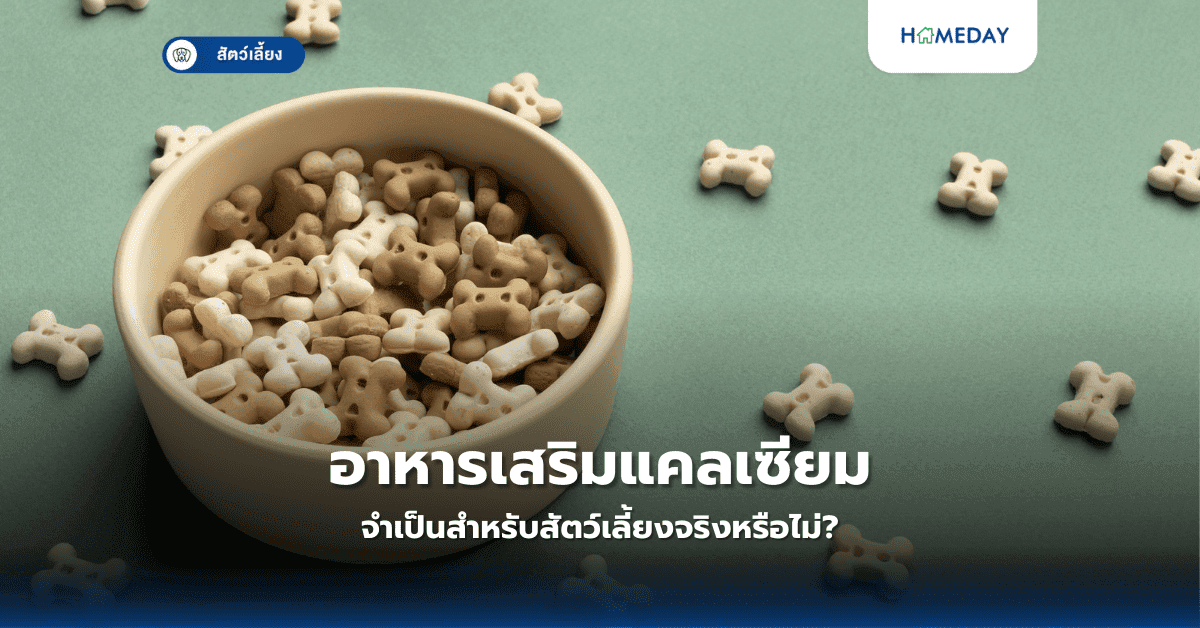 อาหารเสริมแคลเซียมจำเป็นสำหรับสัตว์เลี้ยงจริงหรือไม่?