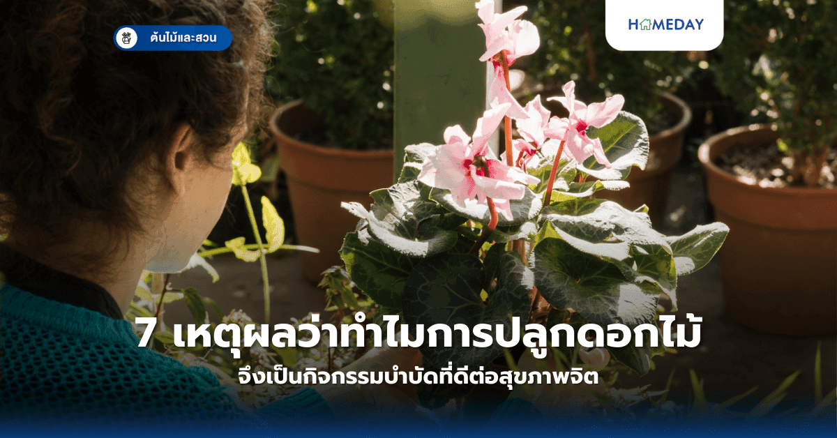 7 เหตุผลว่าทำไมการปลูกดอกไม้จึงเป็นกิจกรรมบำบัดที่ดีต่อสุขภาพจิต