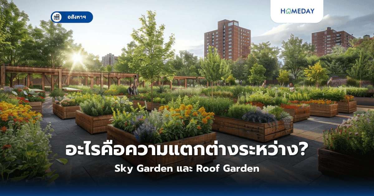 อะไรคือความแตกต่างระหว่างห้องแบบ Sky Garden และ Roof Garden?