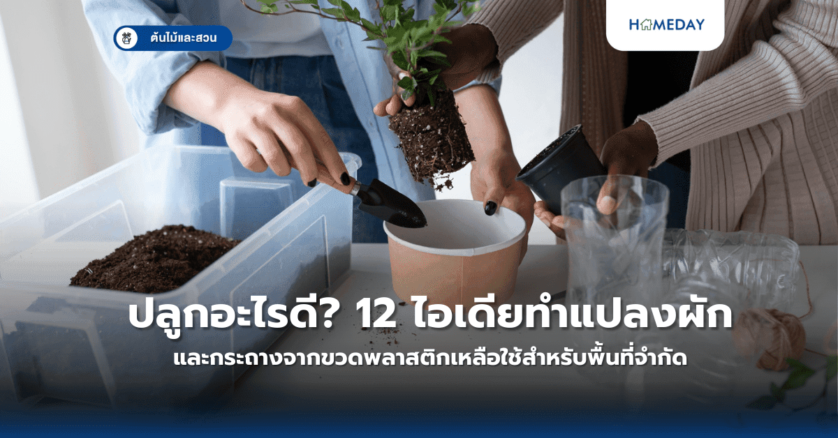 ปลูกอะไรดี? 12 ไอเดียทำแปลงผักและกระถางจากขวดพลาสติกเหลือใช้สำหรับพื้นที่จำกัด