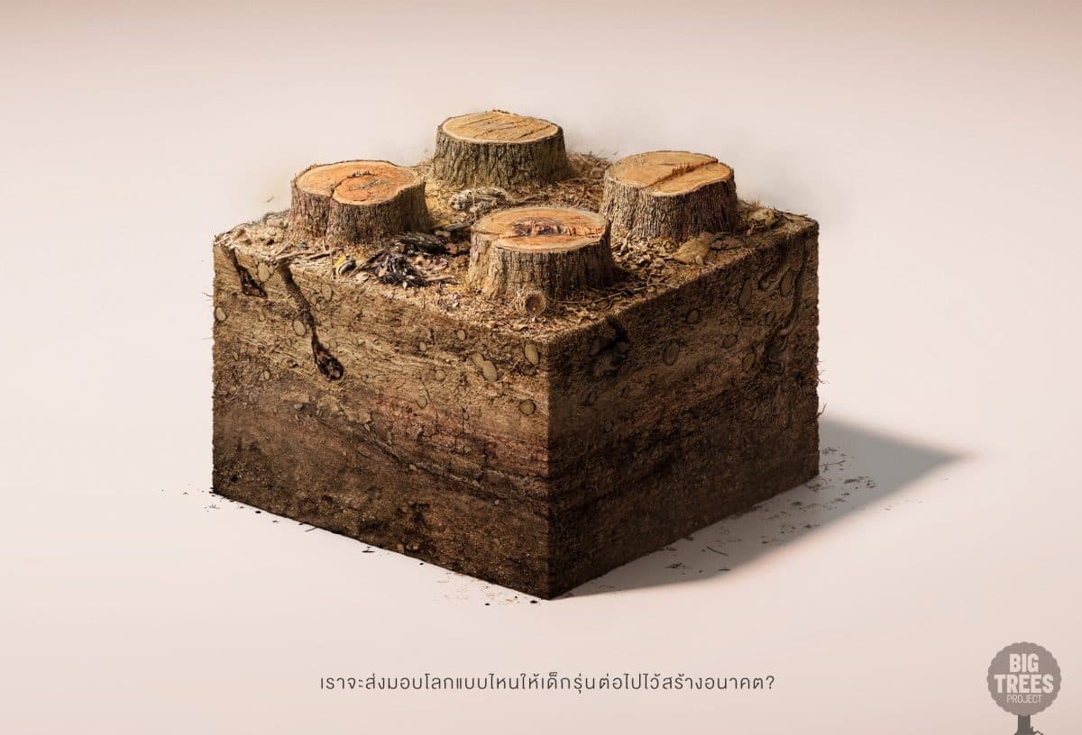 “เด็กคือผู้สร้างอนาคต” Big Trees Project ชวนคนไทยตระหนักและร่วมกัน สร้างโลกเขียวชอุ่มเพื่อลูกหลานใน “วันป่าไม้โลก”