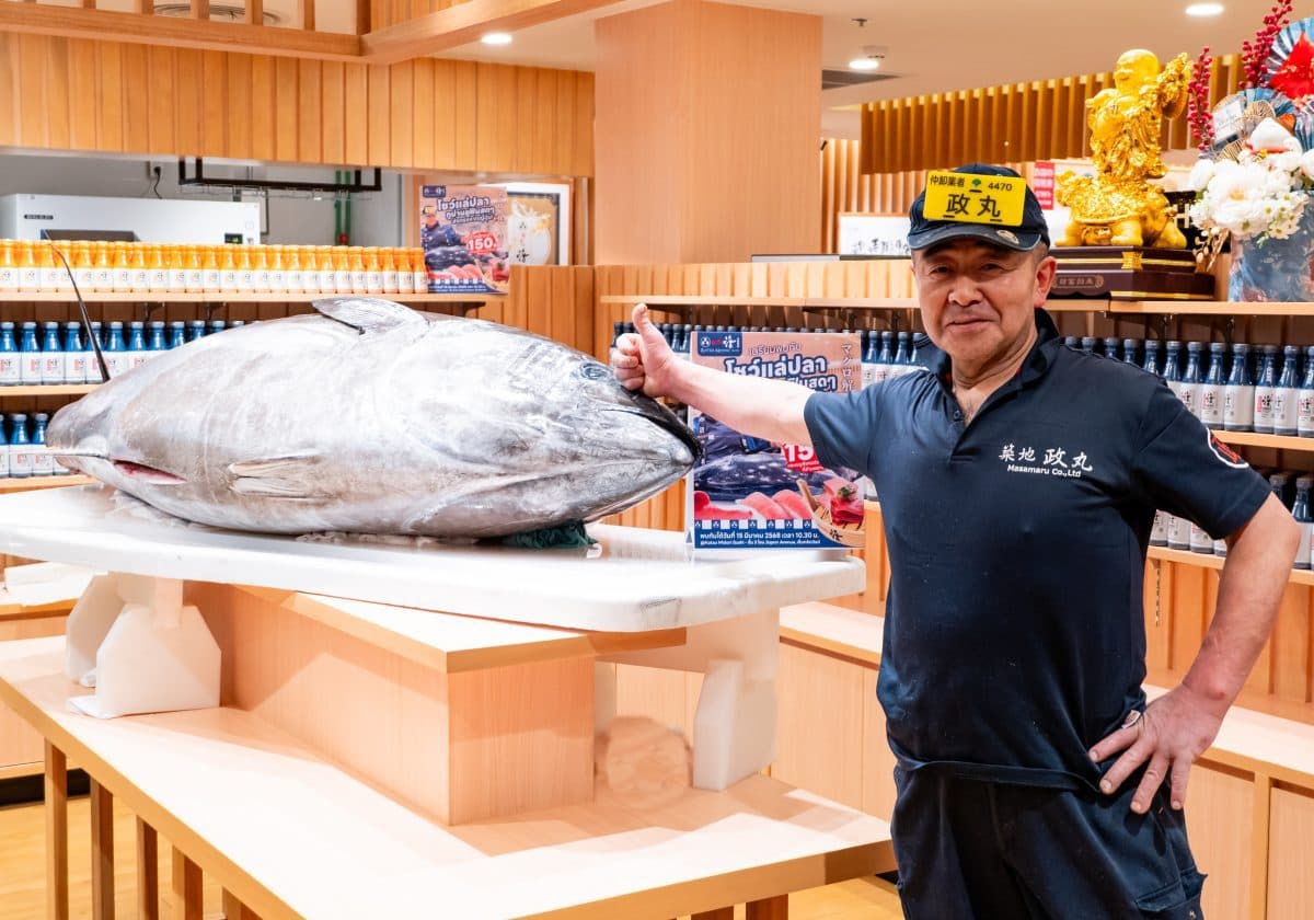 ครั้งแรกในไทย! Katsu Midori Sushi ซูชิสายพานอันดับ 1 จากโตเกียว จัดอีเวนต์โชว์แล่ปลาทูน่ายักษ์ น้ำหนักกว่า 150 กิโลกรัม