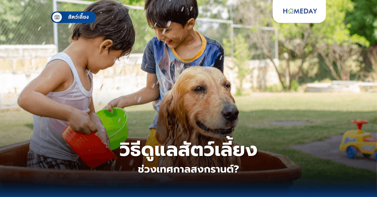 วิธีดูแลสัตว์เลี้ยงช่วงเทศกาลสงกรานต์?