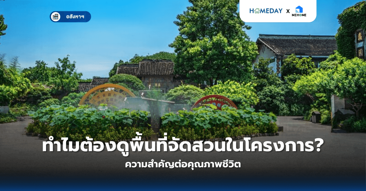 ทำไมต้องดูพื้นที่จัดสวนในโครงการ? ความสำคัญต่อคุณภาพชีวิต