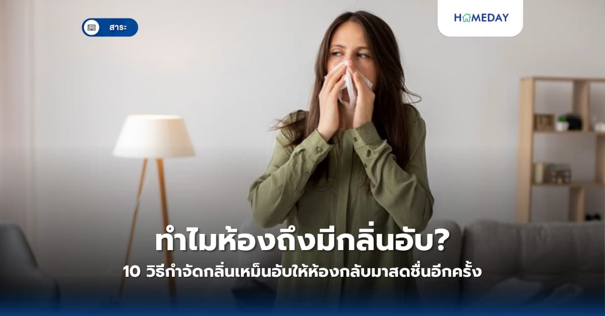 ทำไมห้องถึงมีกลิ่นอับ? 10 วิธีกำจัดกลิ่นเหม็นอับให้ห้องกลับมาสดชื่นอีกครั้ง
