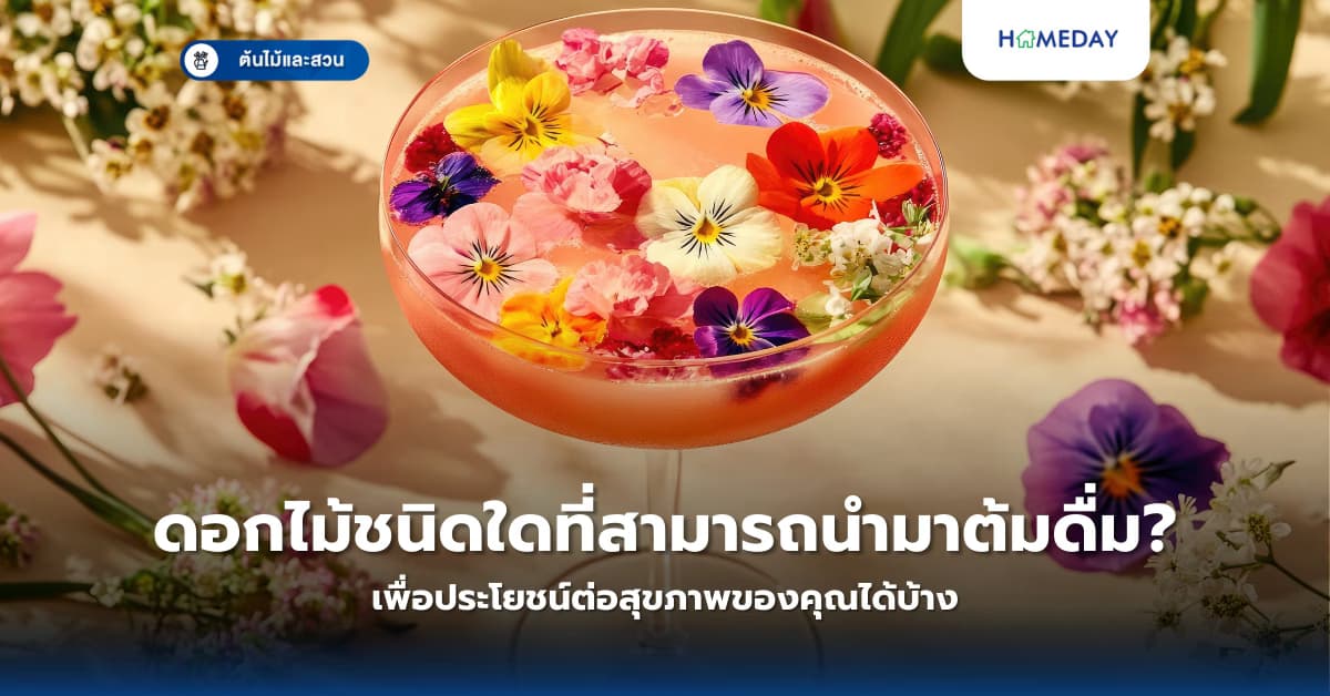 ดอกไม้ชนิดใดที่สามารถนำมาต้มดื่มเพื่อประโยชน์ต่อสุขภาพของคุณได้บ้าง?