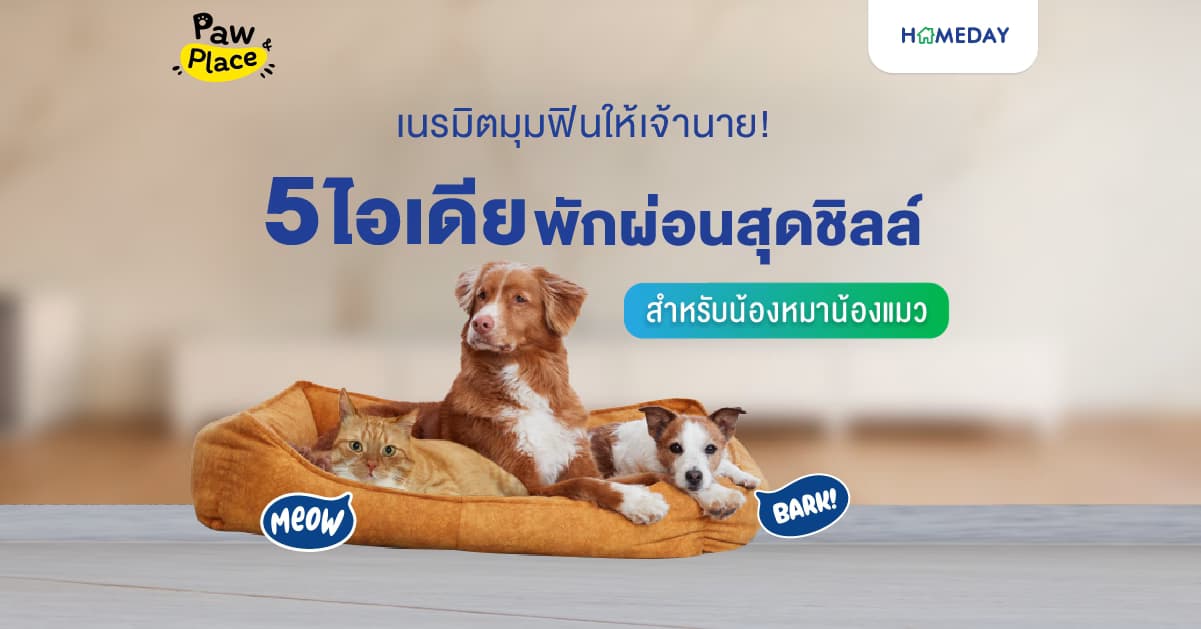 เนรมิตมุมฟินให้เจ้านายสี่ขา: 5 ไอเดียพักผ่อนสุดชิลล์ในบ้านคุณ