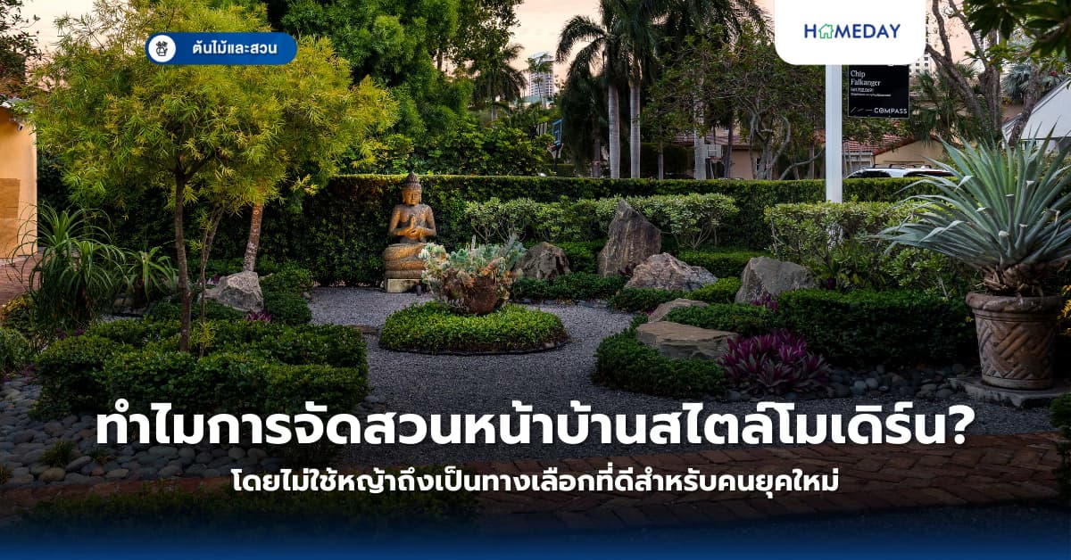 ทำไมการจัดสวนหน้าบ้านสไตล์โมเดิร์นโดยไม่ใช้หญ้าถึงเป็นทางเลือกที่ดีสำหรับคนยุคใหม่?