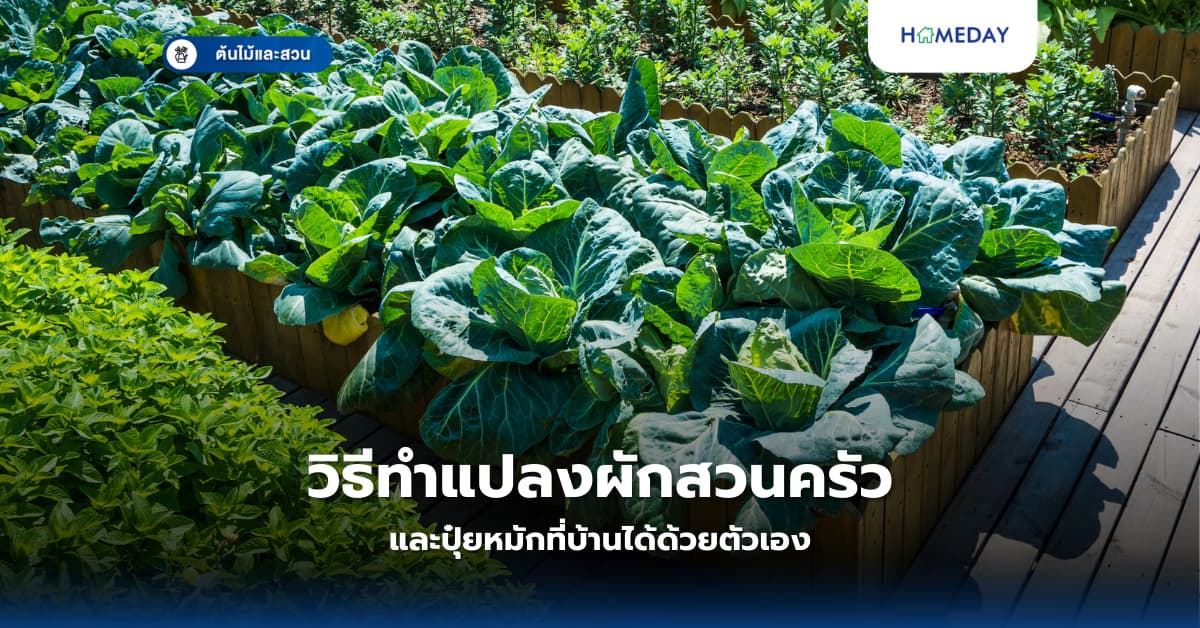 วิธีทำแปลงผักสวนครัวและปุ๋ยหมักที่บ้านได้ด้วยตัวเอง