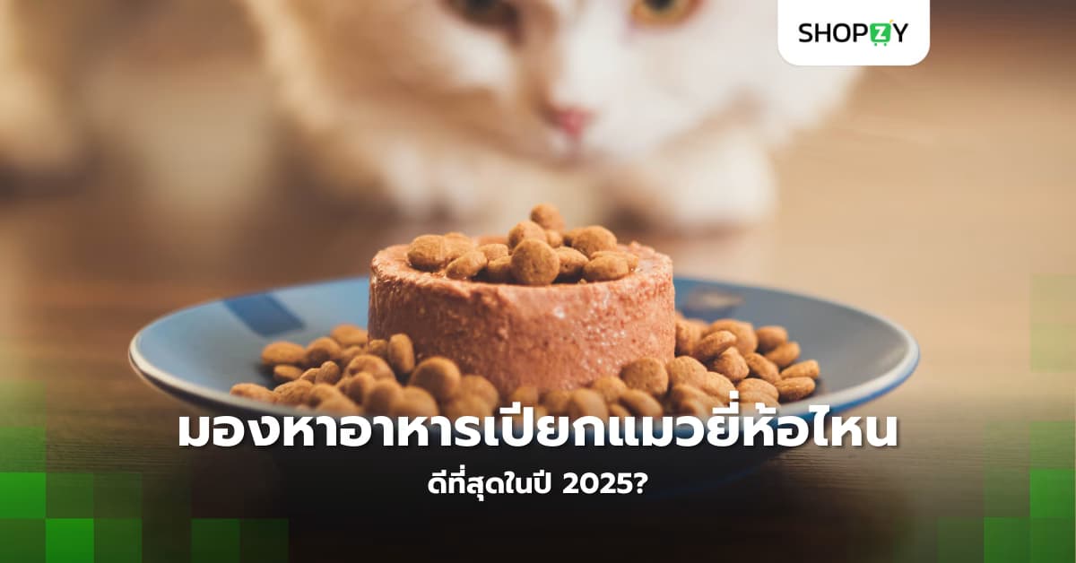 คุณกำลังมองหาอาหารเปียกแมวยี่ห้อไหนดีที่สุดในปี 2025?